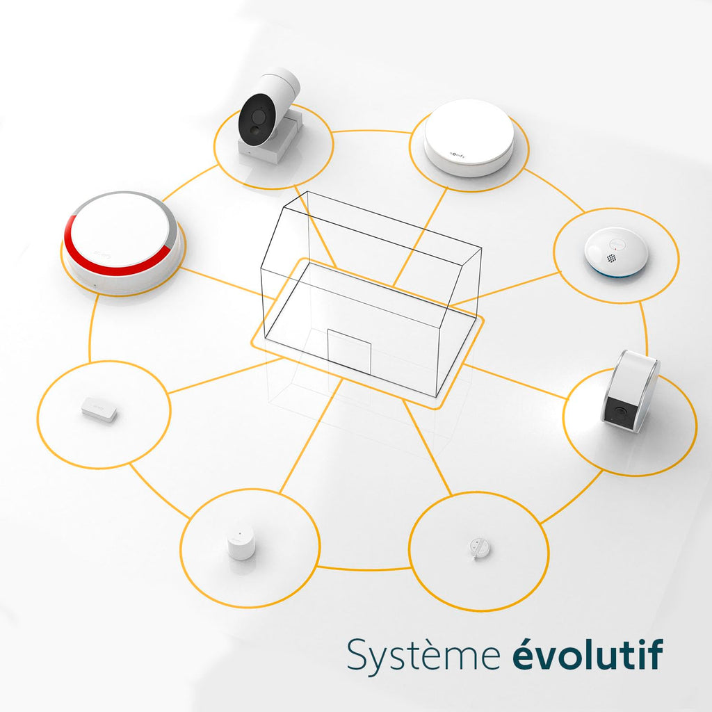 Somfy 1875279 - Home Alarm Essential Starter Pack - Système d'Alarme Maison sans Fil Connecté WiFi - 1 IntelliTAG - 1 détecteur de Mouvement - 1 Badge - Compatible Alexa, Assistant Google et Tahoma