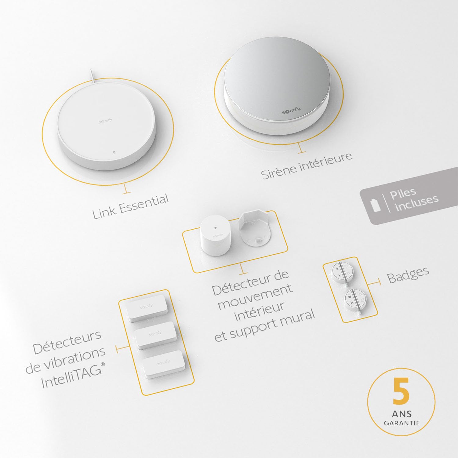 Somfy 1875279 - Home Alarm Essential Starter Pack - Système d'Alarme Maison sans Fil Connecté WiFi - 1 IntelliTAG - 1 détecteur de Mouvement - 1 Badge - Compatible Alexa, Assistant Google et Tahoma