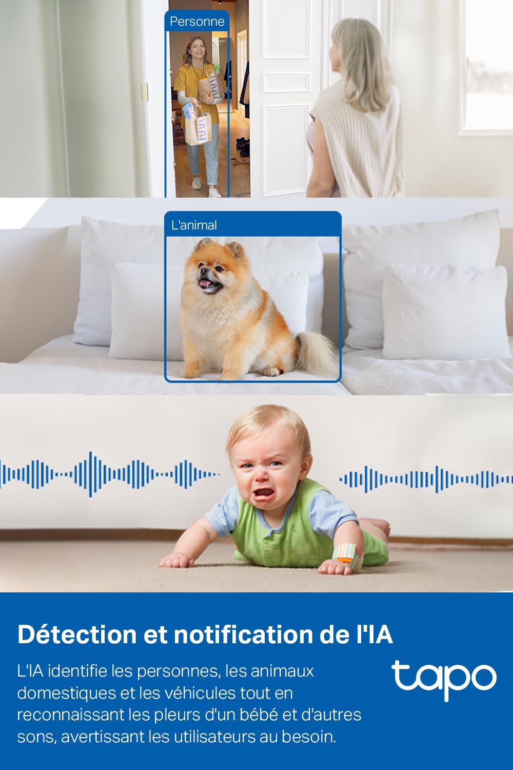 Tapo C110 Caméra de Surveillance WiFi intérieure 2K 3MP, Audio bidirectionnel, détection de Mouvement, Alarme sonore et Lumineuse, Vision Nocturne, Compatible avec Alexa, Google Assistant