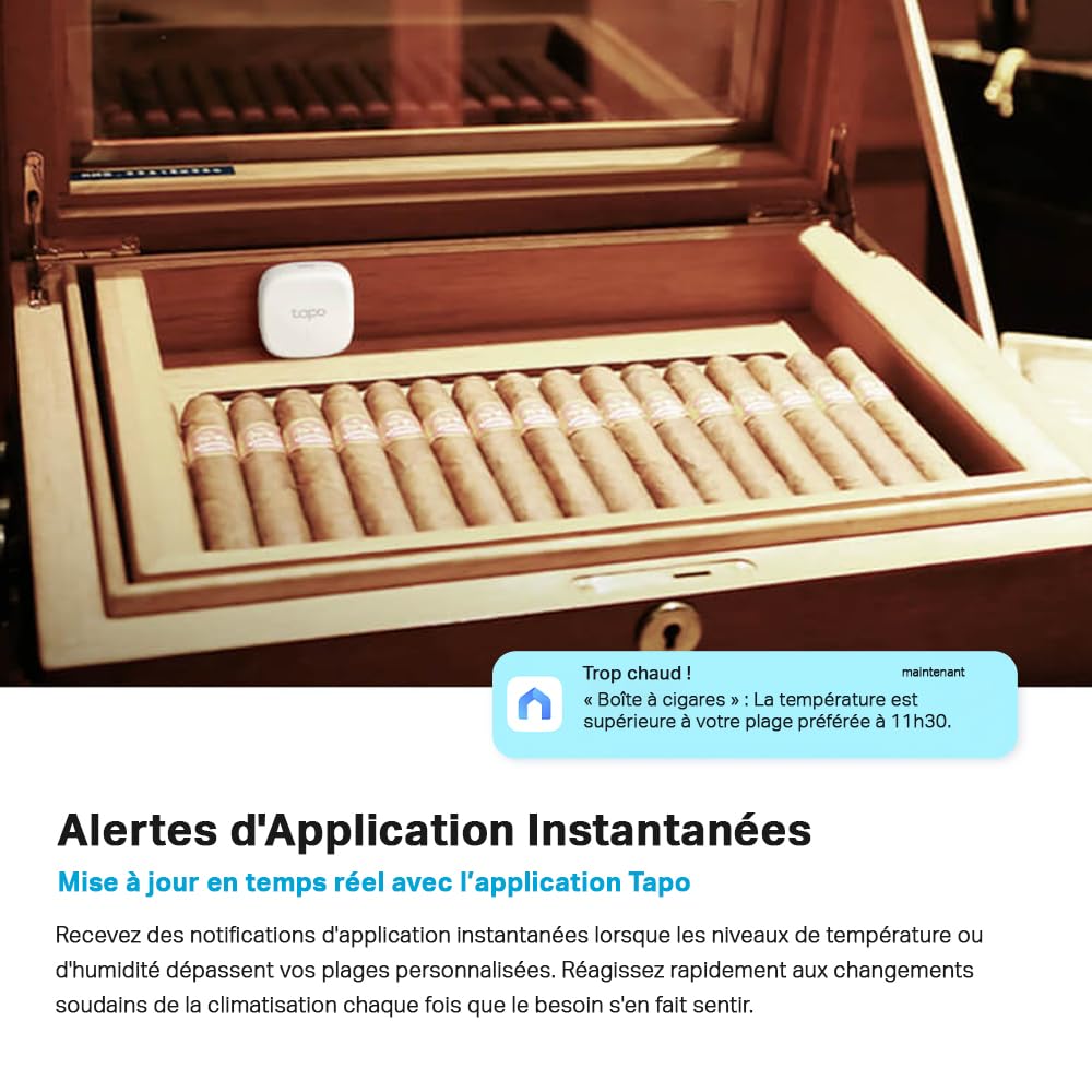 Tapo Détecteur de Mouvement Intelligent Tapo T110, pour la sécurité des fenêtres/Portes, durée de Vie de la Batterie de 1 an et Plus, Notification d'application instantanée, Hub requis
