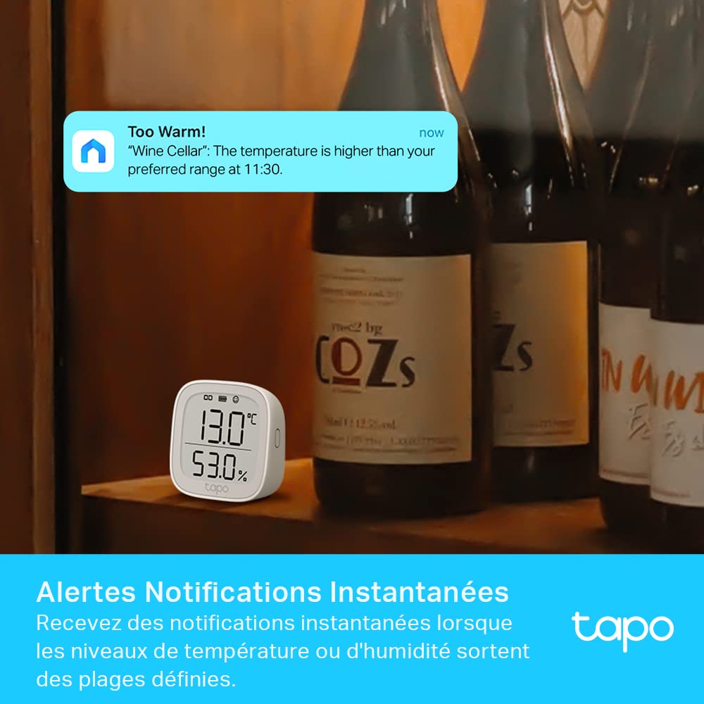 Tapo Détecteur de Mouvement Intelligent Tapo T110, pour la sécurité des fenêtres/Portes, durée de Vie de la Batterie de 1 an et Plus, Notification d'application instantanée, Hub requis