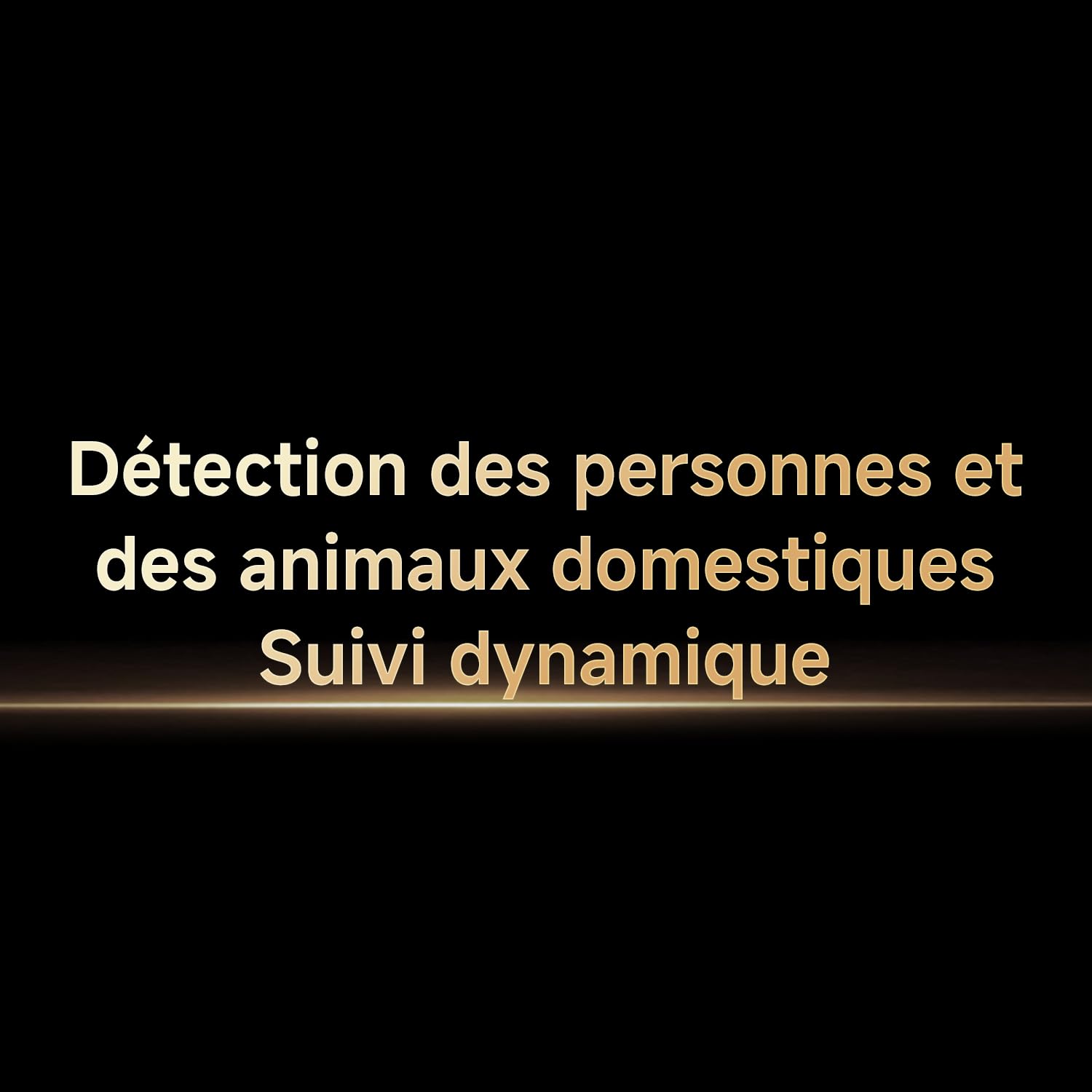 XIAOMI C201 1080p HD, caméra de sécurité, WiFi 6, 360° Panorama, Vision Nocturne Couleur, Protection Objectif, Audio bidirectionnel, babyphone, caméra Animaux, Compatible avec Alexa et Google