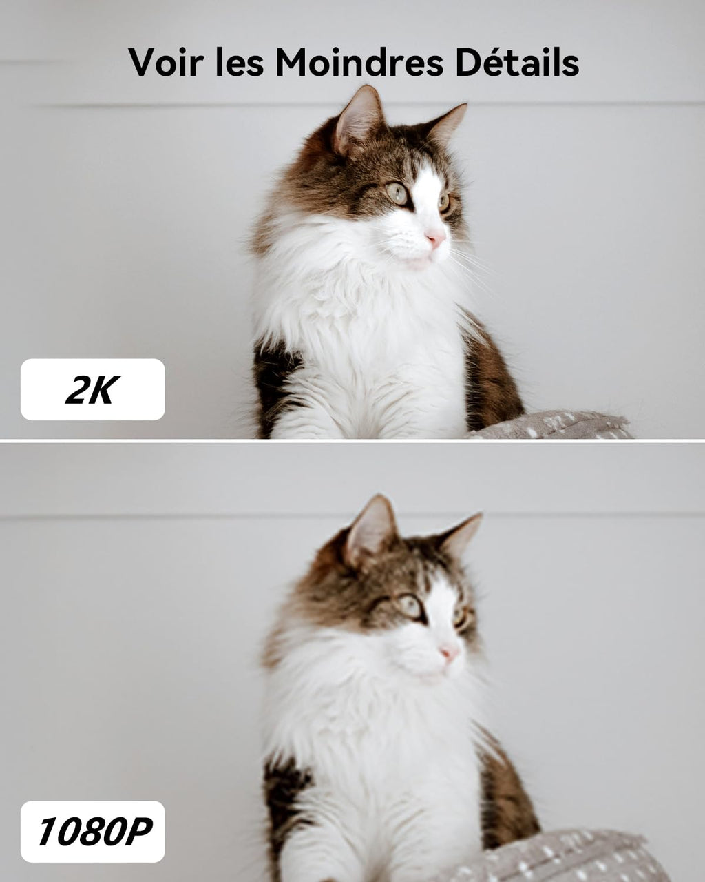 Imou 2K(3MP) Caméra Surveillance WiFi Intérieure Caméra 360° Connectée Smartphone avec Détection Humaine AI Suivi Intelligent Sirène Audio Bidirectionnel Compatible Alexa pour Bébé/Animaux (2 Pièces)