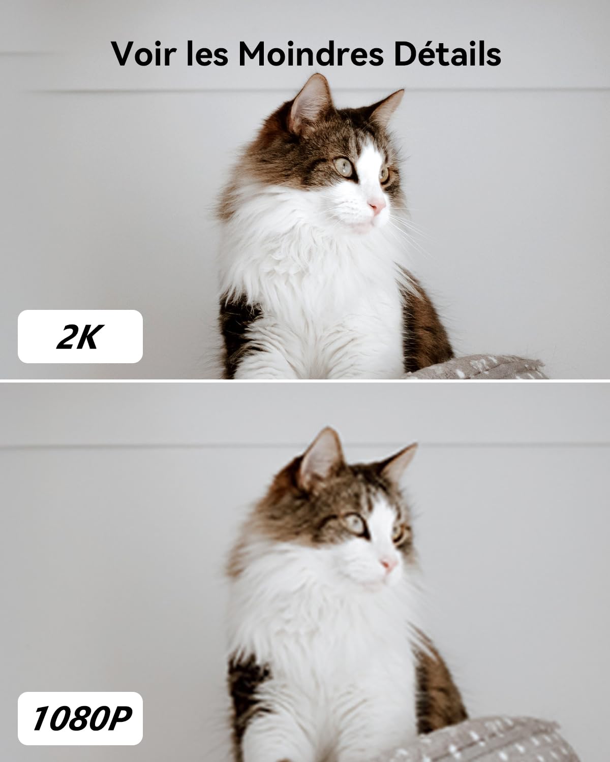 Imou 2K(3MP) Caméra Surveillance WiFi Intérieure Caméra 360° Connectée Smartphone avec Détection Humaine AI Suivi Intelligent Sirène Audio Bidirectionnel Compatible Alexa pour Bébé/Animaux (2 Pièces)