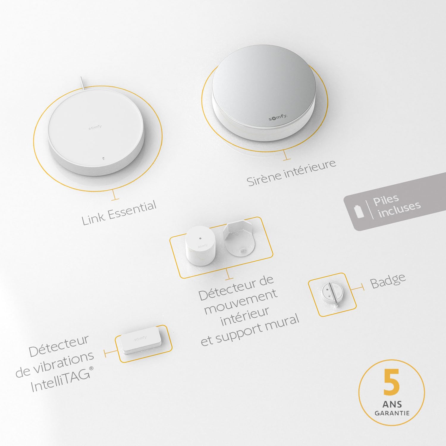 Somfy 1875279 - Home Alarm Essential Starter Pack - Système d'Alarme Maison sans Fil Connecté WiFi - 1 IntelliTAG - 1 détecteur de Mouvement - 1 Badge - Compatible Alexa, Assistant Google et Tahoma