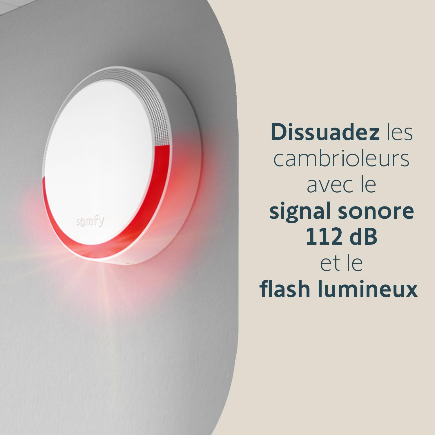 Somfy 1875279 - Home Alarm Essential Starter Pack - Système d'Alarme Maison sans Fil Connecté WiFi - 1 IntelliTAG - 1 détecteur de Mouvement - 1 Badge - Compatible Alexa, Assistant Google et Tahoma