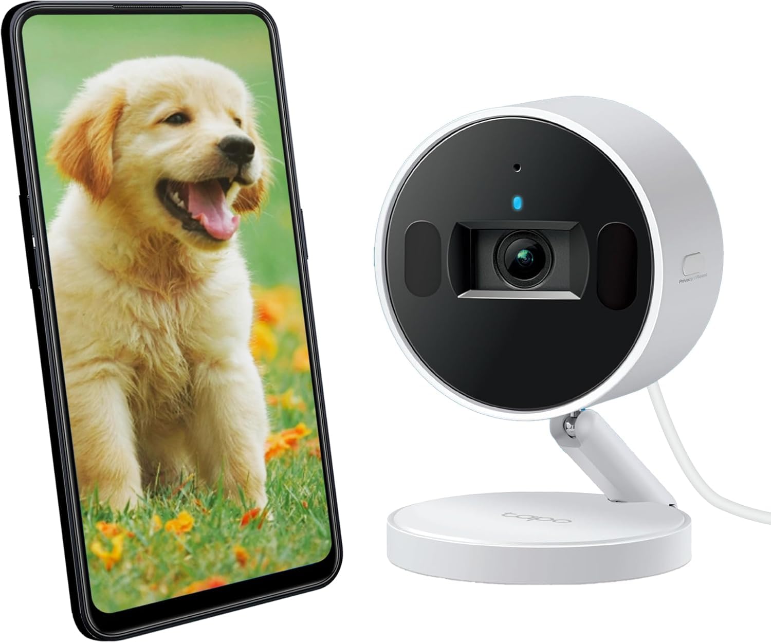 Tapo C110 Caméra de Surveillance WiFi intérieure 2K 3MP, Audio bidirectionnel, détection de Mouvement, Alarme sonore et Lumineuse, Vision Nocturne, Compatible avec Alexa, Google Assistant