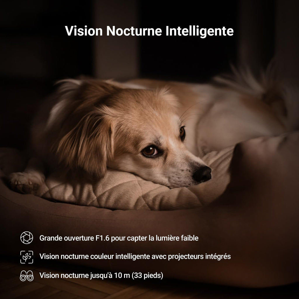 EZVIZ Caméra Surveillance WiFi Intérieure 360°, FHD 1080P, Camera WiFi 2.4Ghz, Vision Nocturne, Détection de Mouvement Suivi Intelligent, Audio Bidirectionnel, Compatible avec Alexa pour Bébé/Animaux