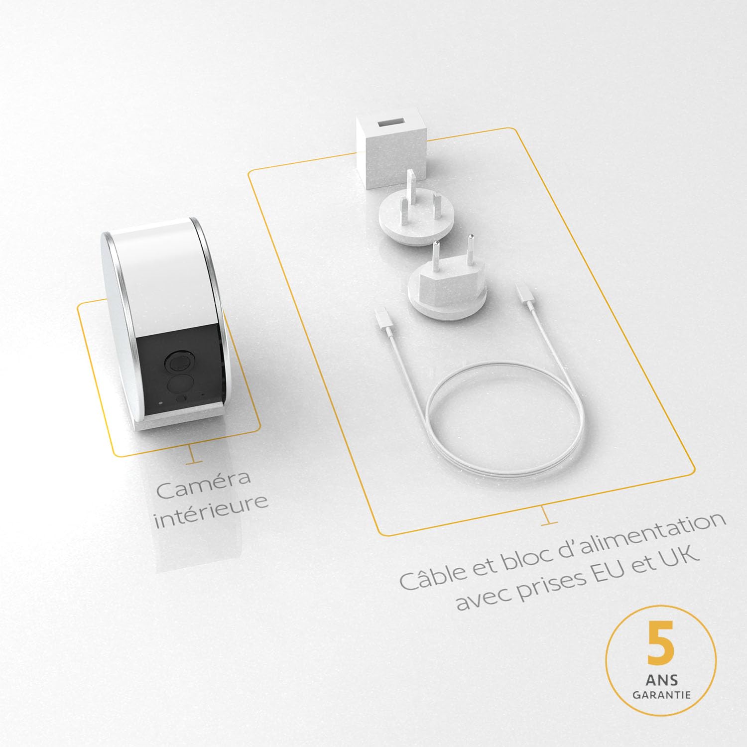 somfy 2401507 - Indoor Camera, Caméras avec volet motorisé, Compatible : Alexa, Google Home et Tahoma, Vision Nocturne, Détection de Mouvement, Grand Angle, Enregistrements vidéo, Haut-Parleur