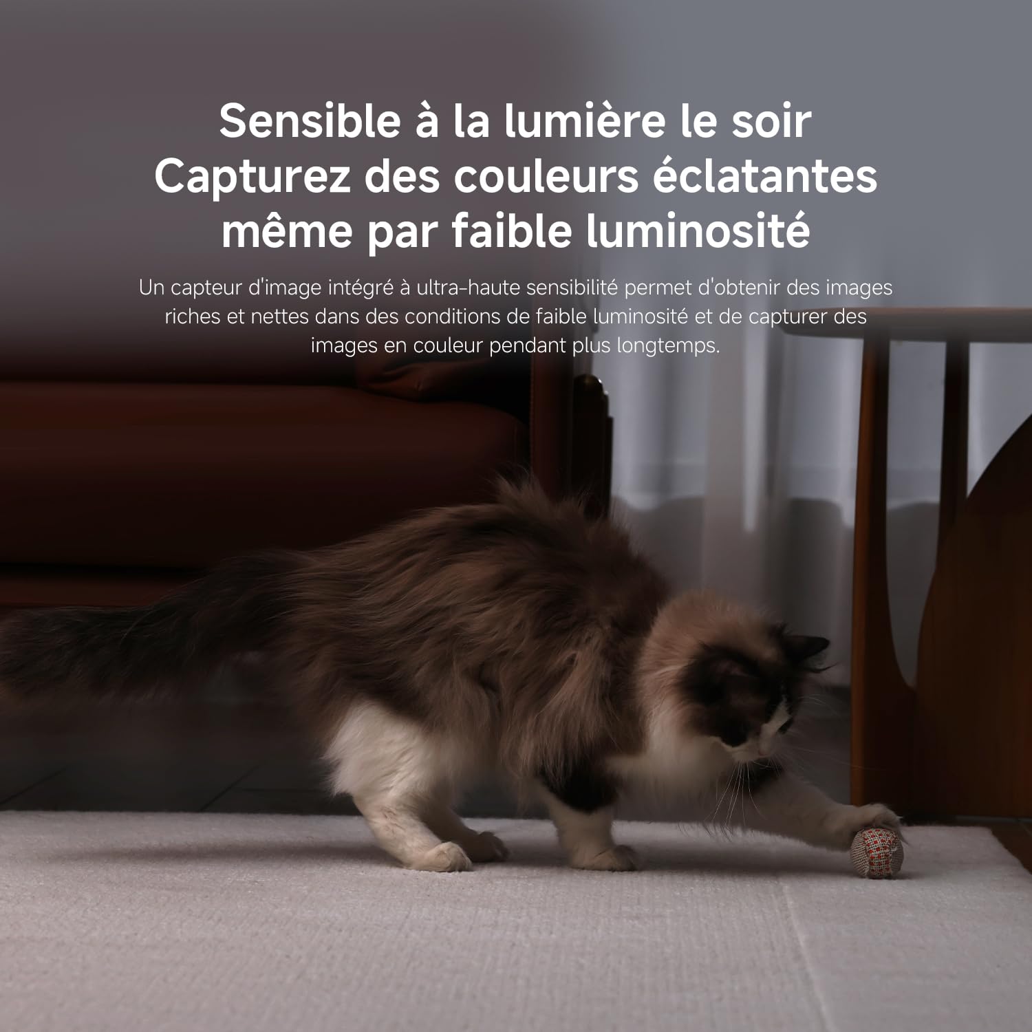 XIAOMI C201 1080p HD, caméra de sécurité, WiFi 6, 360° Panorama, Vision Nocturne Couleur, Protection Objectif, Audio bidirectionnel, babyphone, caméra Animaux, Compatible avec Alexa et Google
