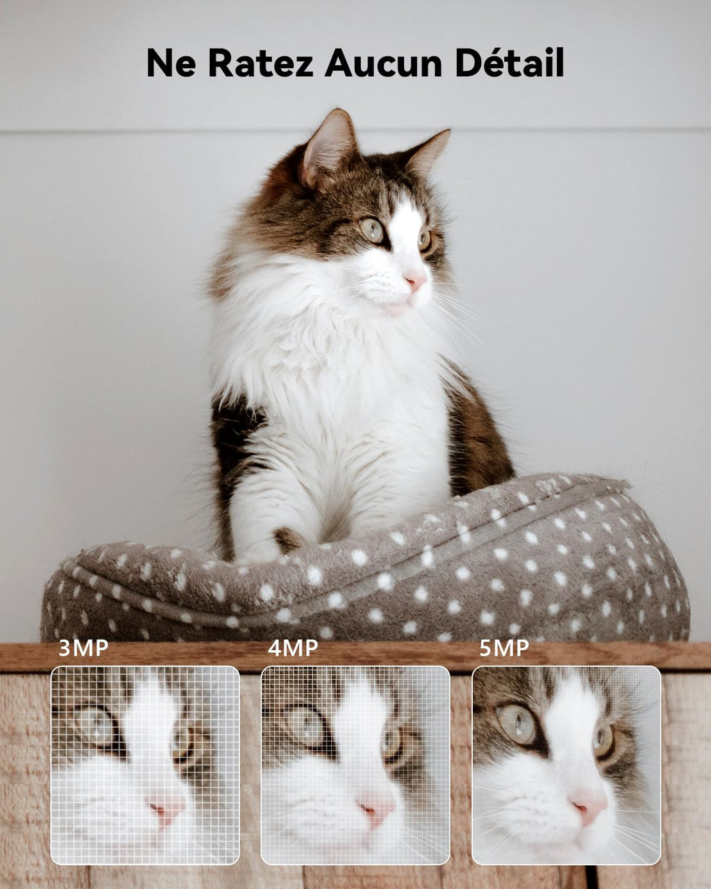 Imou 2K(3MP) Caméra Surveillance WiFi Intérieur 360°, Wi-Fi 6 Double-Bande(2.4G/5GHz), Vision Nocturne Couleur, Détection de Personnes/Animaux,Suivi Intelligent,Compatible Alexa pour Bébé/Chien/Maison