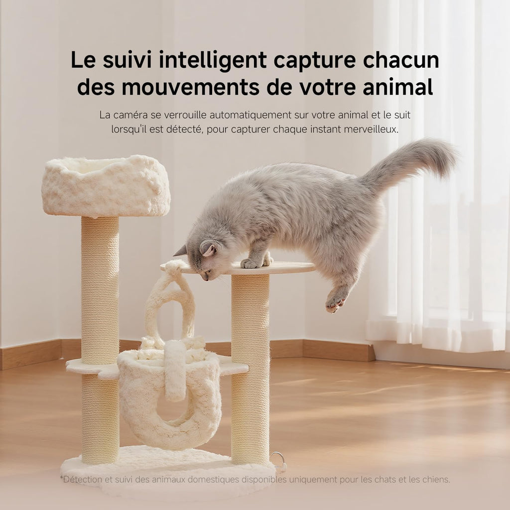 XIAOMI C201 1080p HD, caméra de sécurité, WiFi 6, 360° Panorama, Vision Nocturne Couleur, Protection Objectif, Audio bidirectionnel, babyphone, caméra Animaux, Compatible avec Alexa et Google
