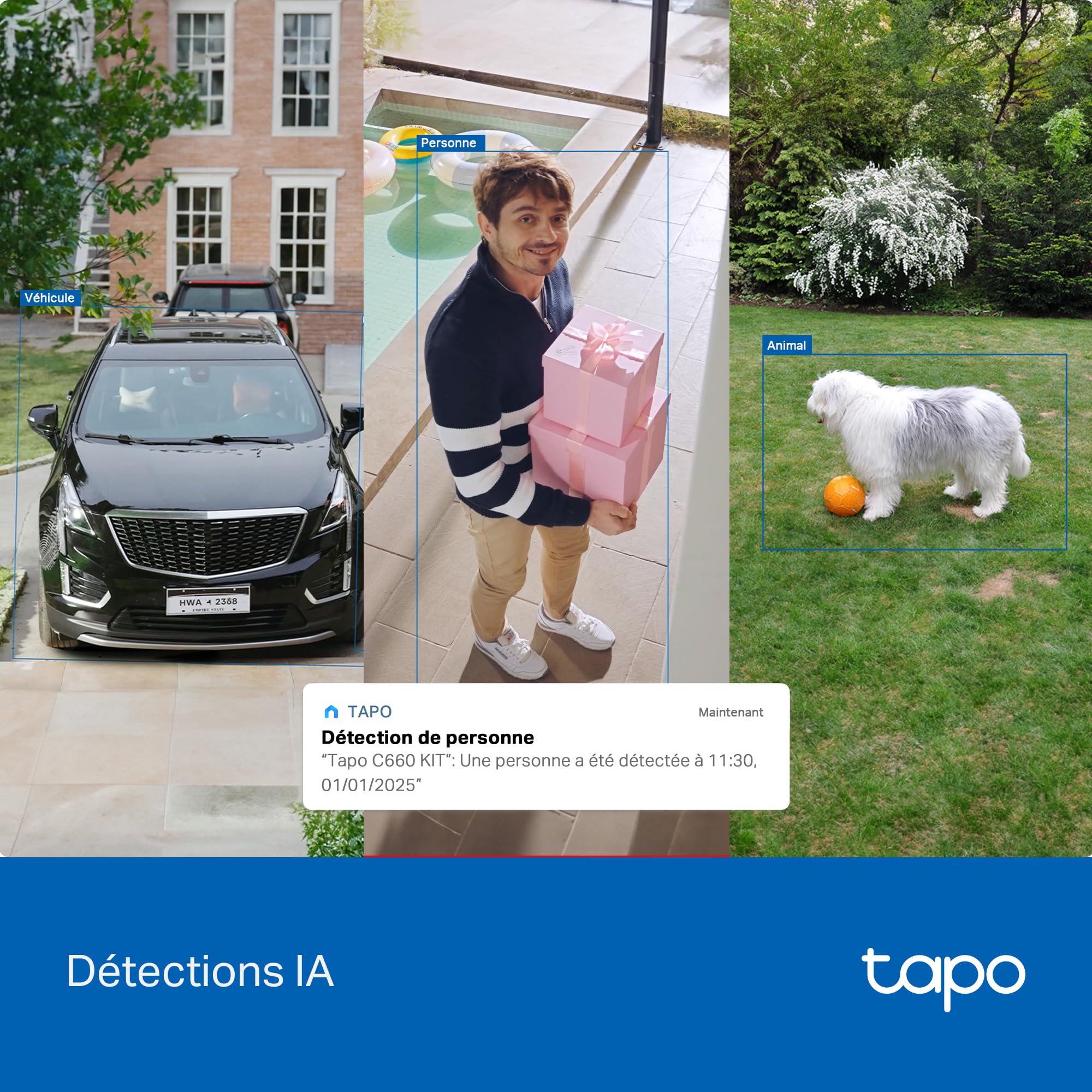 Tapo C660 Kit Caméra de Surveillance extérieure avec Panneau Solaire 4K 8MP, Vision 360°, Vision Nocturne Couleur Starlight, Batterie 10 000 mAh, détection IA, IP66, Alarme Rapide et antivol